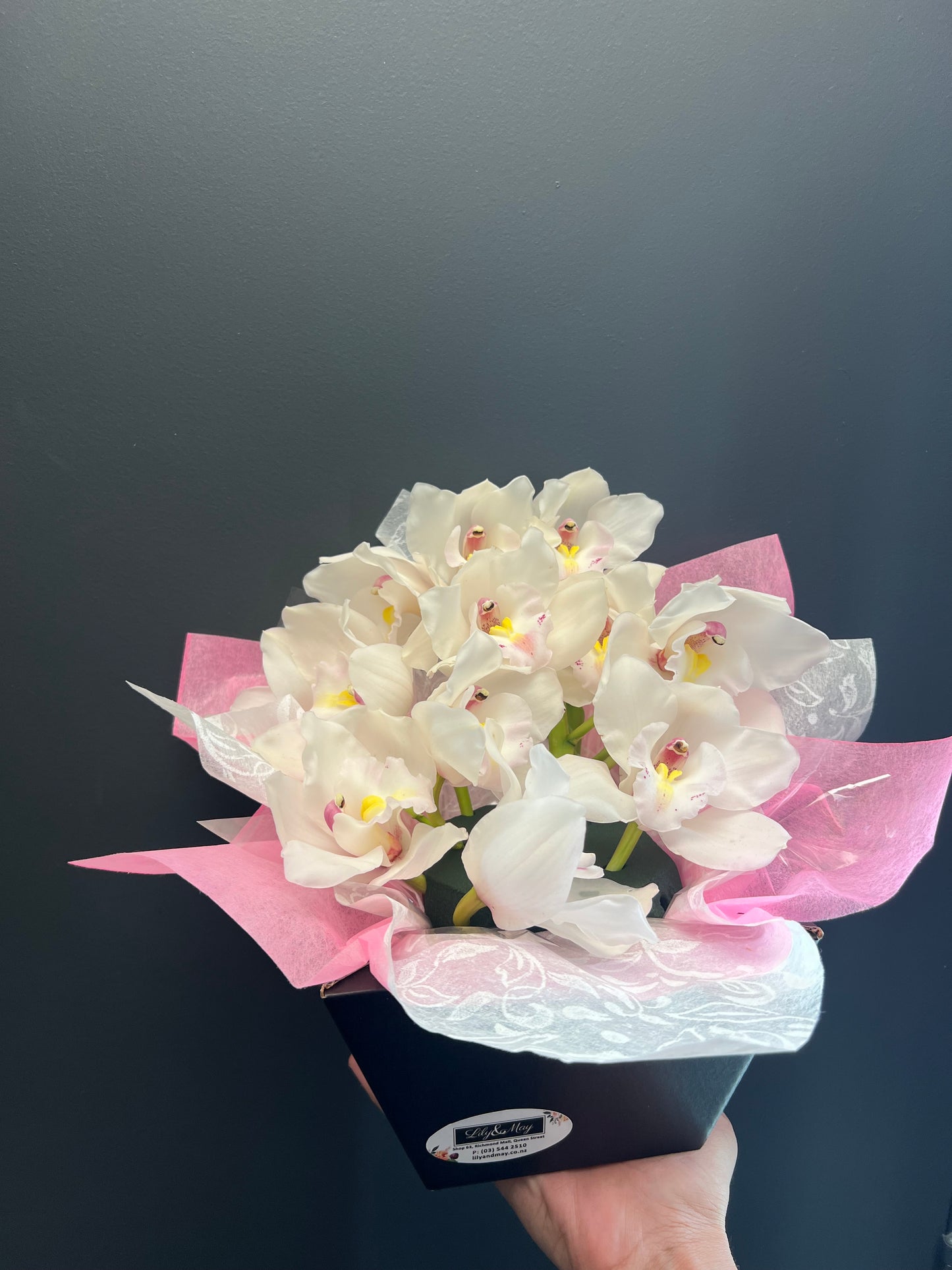 Orchid special Vox box