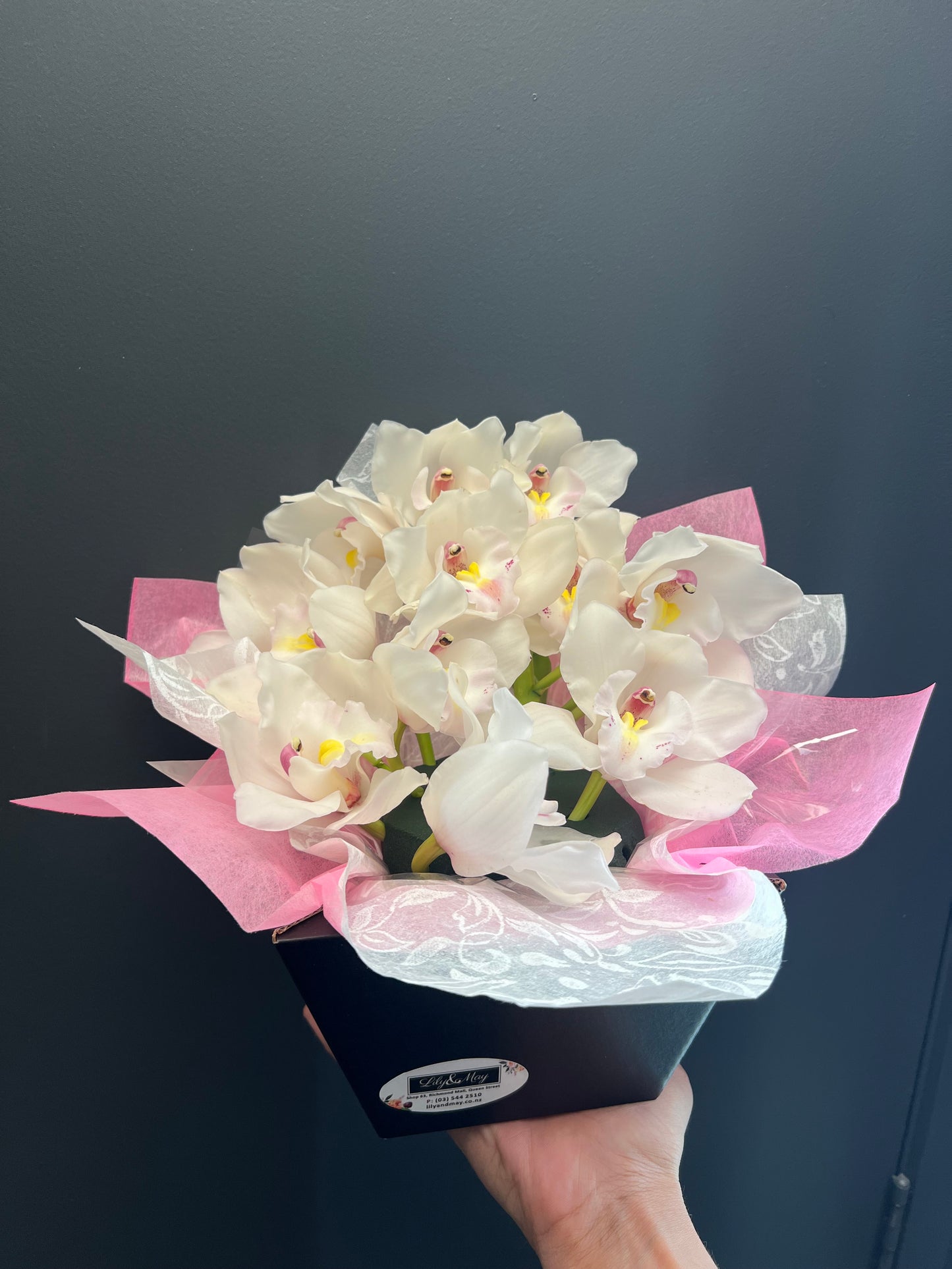 Orchid special Vox box