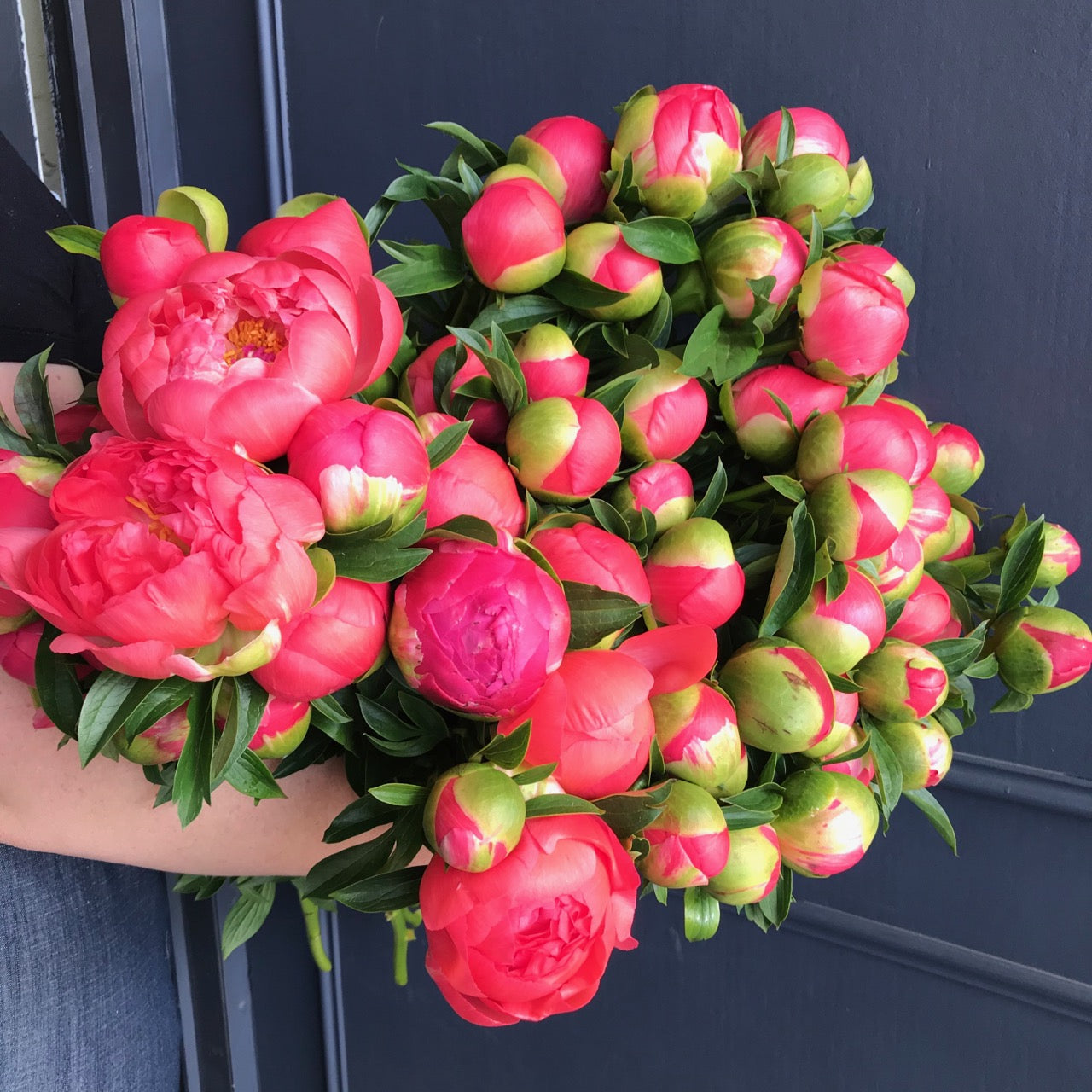 A Coral charm peonies (Season specials)