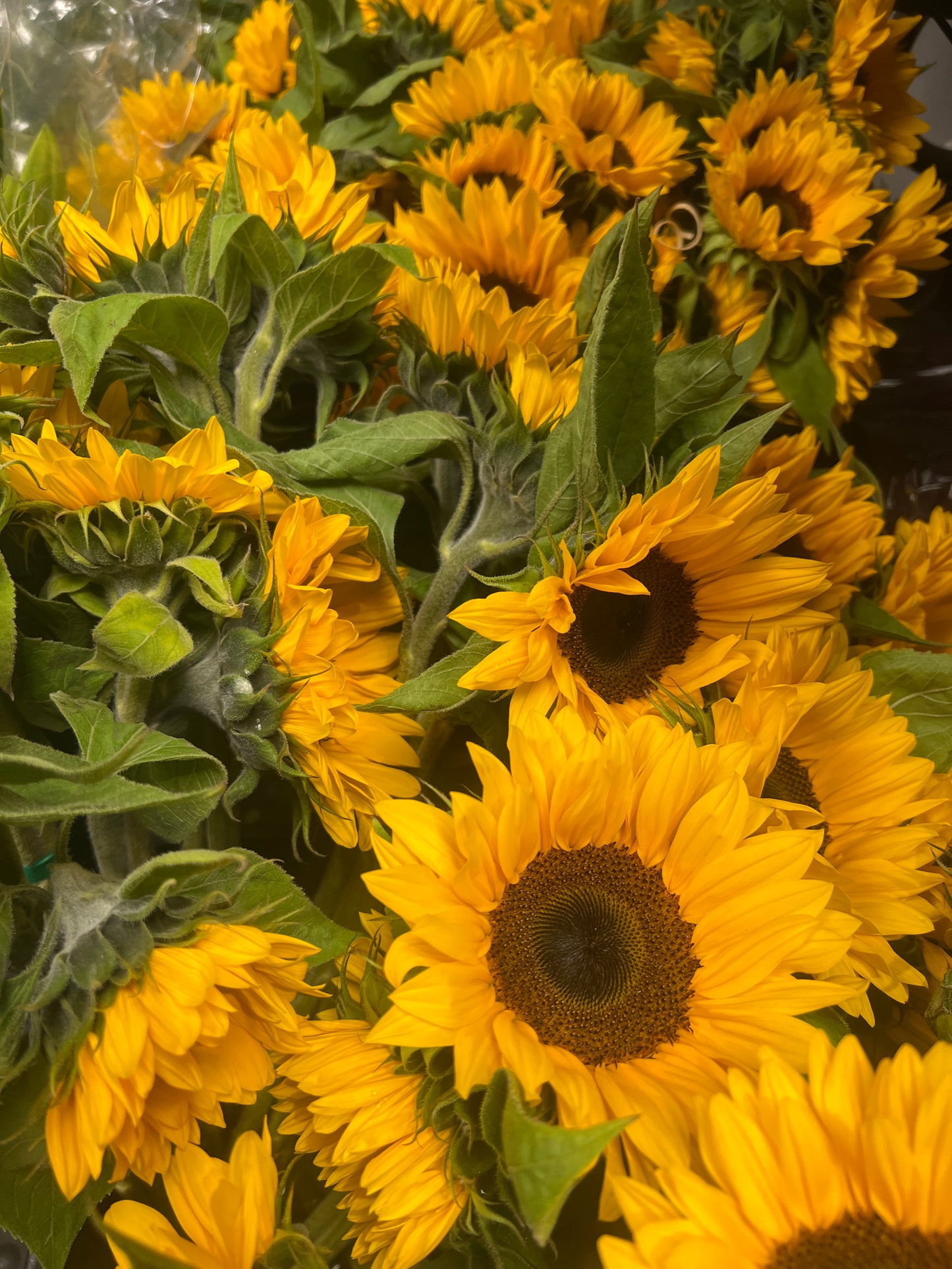 - Sunflower Sunshine Bouquet