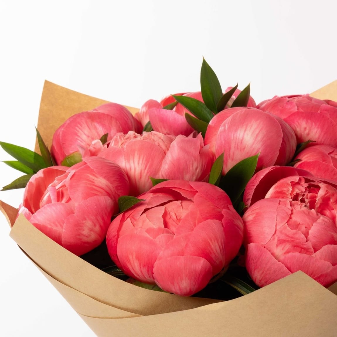 A Coral charm peonies (Season specials)