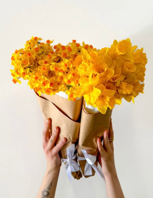 Daffodil bunch